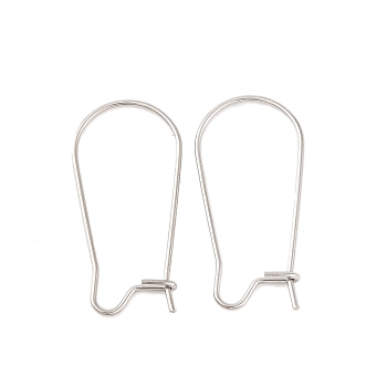 Tarnish Resistant 316 Surgical Stainless Steel Hook Earrings, Stainless Steel Color, 25x12mm, Pin: 0.7mm