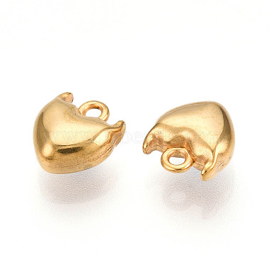 304 Stainless Steel Charms(STAS-N109-141G)-2