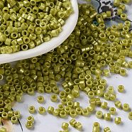 Baking Paint Glass Seed Beads, Cylinder, Olive, 2.5x2mm, Hole: 1.4mm, about 5039pcs/50g(X-SEED-S042-15A-07)