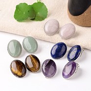 Natural Mixed Stone Oval Clip-on Earrings, with Platinum Plated Brass Findings, 21x15mm(EJEW-J091-M)
