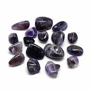 Natural Amethyst Beads, Tumbled Stone, No Hole/Undrilled, Nuggets, 14~30x10~25x5~20mm, about 72~138pcs/1000g(G-Q947-15)