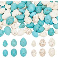 96Pcs 12 Styles Synthetic Turquoise Dyed Cabochons, for DIY Jewelry Accessories, Teardrop & Oval, 13~18x10~13x3.5~6mm, 8pcs/style(G-AR0005-55)
