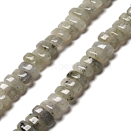 Natural Labradorite Beads Strands, Rectangle, 9x4x4.5mm, Hole: 1mm, about 93pcs/strand, 15.28 inch(38.8cm)(G-Q167-B19-01)