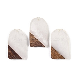 Resin & Wood Pendants, Arch Charms, White, 38x22.5x3.5mm, Hole: 2mm(WOOD-F015-13C)