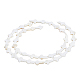 2 Strands Cross Natural Sea Shell Beads Strands(SSHEL-DC0001-02)-1