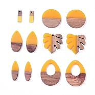 Resin & Walnut Wood Pendants, Two Tone, for DIY Jewelry Making, Horse Eye/Flat Round/teardrop,/Rectangle/Leaf, Gold, Hole: 1.5mm, 1.8mm and 2mm, 12pcs/set(RESI-X0001-21)