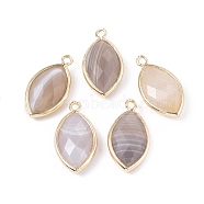 Natural Botswana Agate Pendants, with Golden Plated Brass Findings, Faceted, Horse Eye, 21.5x11.5x3~5mm, Hole: 1.6mm(X-G-L514-023E)