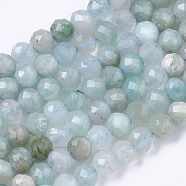 Natural Flower Amazonite Beads Strands, Round, Faceted, 2mm, Hole: 0.7mm, about 155pcs/strand, 15.75 inch(40cm)(G-R462-027)