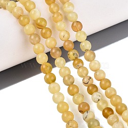 Natural Yellow Opal Beads Strands, Smooth Round, 6mm, Hole: 0.7~0.8mm, about 63~66pcs/strand, 14.96~15.35 inch(38~39cm)(G-Q616-05A)