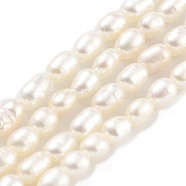 Natural Cultured Freshwater Pearl Beads Strands, Rice, Grade 5A, Snow, 2.8~3.2mm, Hole: 0.3mm, about 31pcs/strand, 6.69''~6.89''(17~17.5cm)(PEAR-P062-01H)