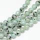 Chapelets de perles en jaspe sésame naturel / jaspe kiwi(G-R345-10mm-28)-1