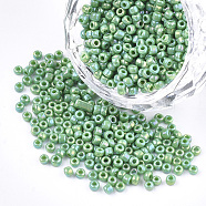 Opaque Glass Seed Beads, Rainbow Plated, Round, Medium Sea Green, 3mm, Hole: 1mm, about 10000pcs/bag(SEED-S023-01B-07)