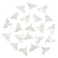 WADORN 20Pcs Natutal Shell Pendants, AB Color Fishtail Charms, White, 20x26x2.5mm, Hole: 1mm(SHEL-WR0001-05)