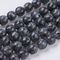 Natural Larvikite Beads Strands, Faceted, Round, Gray, 10mm, Hole: 1mm, about 38pcs/strand, 15.75 inch(G-G542-10mm-27)