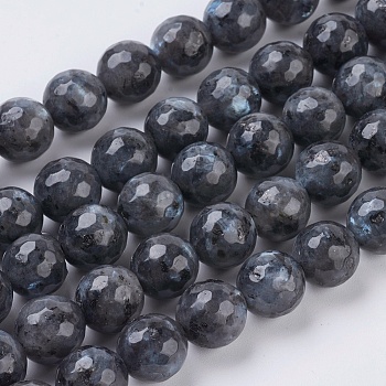 Natural Larvikite Beads Strands, Faceted, Round, Gray, 10mm, Hole: 1mm, about 38pcs/strand, 15.75 inch