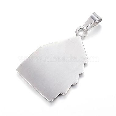 316 Surgical Stainless Steel Pendants(STAS-F085-05AS)-2