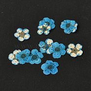 Narcissus Embossing Dried Flowers, for Cellphone, Photo Frame, Scrapbooking DIY Handmade Craft, Deep Sky Blue, 7mm, 20pcs/box(DIY-K032-60E)