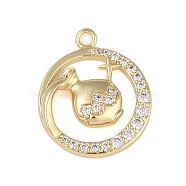 Brass Micro Pave Clear Cubic Zirconia Pendants, Twelve Constellations, Aquarius, 18x15x2.5mm, Hole: 1.5mm(FIND-B077-02G-06)