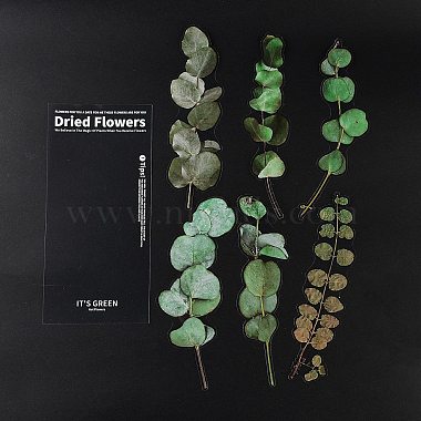 6 個のペット用粘着植物装飾ステッカー(AJEW-Q146-01F)-3