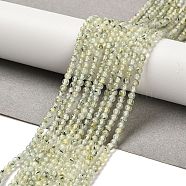 Natural Prehnite Beads Strands, Round, 3mm, Hole: 0.8mm, about 126pcs/strand, 15.16''(38.5cm)(G-B107-E01-01)