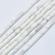 Natural Howlite Beads Strands, Column, 4~5x2~2.5mm, Hole: 0.6~0.8mm, about 90~102pcs/strand, 15.3~15.7 inch(39~40cm)(G-F631-B08)