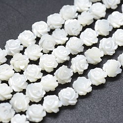 Natural White Shell Beads Strands, Mother of Pearl Shell Beads, Double-sided Rose, WhiteSmoke, 10~10.5x4~5.5mm, Hole: 1mm, about 39pcs/strand, 14.96 inch(38cm)(SSHEL-P015-01A-10mm)