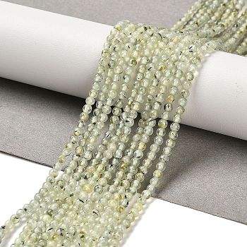 Natural Prehnite Beads Strands, Round, 3mm, Hole: 0.8mm, about 126pcs/strand, 15.16''(38.5cm)