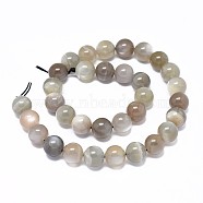 Natural Grey Moonstone Beads Strands, Round, 8mm, Hole: 0.8mm, about 49~50pcs/strand, 15.7 inch(40cm)(G-F632-29-03)