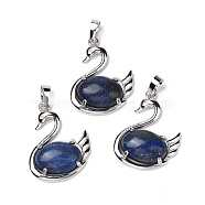 Natural Lapis Lazuli Pendants, with Platinum Tone Brass Findings, Cadmium Free & Lead Free, Dyed, Swan, 32x25x7.3mm, Hole: 8mm(G-M385-04P-B)