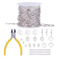 DIY Bracelets &  Necklaces Making Kits, includ Brass Paperclip Chains & Toggle Clasps & Lobster Claw Clasps, Brass Cubic Zirconia & CCB Plastic Charms, 201 Stainless Steel Flat Round Pendants, Platinum, 11x4.3x0.7mm, 3m/set(DIY-SZ0001-21A)