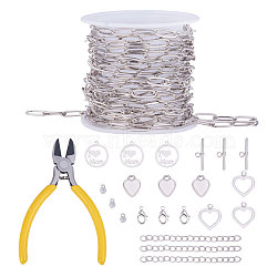 DIY Bracelets &  Necklaces Making Kits, includ Brass Paperclip Chains & Toggle Clasps & Lobster Claw Clasps, Brass Cubic Zirconia & CCB Plastic Charms, 201 Stainless Steel Flat Round Pendants, Platinum, 11x4.3x0.7mm, 3m/set(DIY-SZ0001-21A)