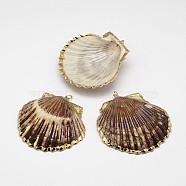 Natural Shell Big Pendant, with Plated Golden Brass Findings, 50~68x40~54x4~5mm, Hole: 2mm(SHEL-P003-02)
