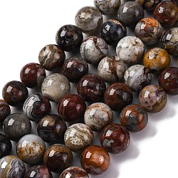 Natural Mexico Crazy Agate Beads Strands, Round, 11.5~12.5mm, Hole: 1.4mm, about 31pcs/strand, 14.80 inch(37.6cm)(G-L615-A01-04)