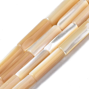 Natural Trochid Shell/Trochus Shell Beads Strands, Column, BurlyWood, 13x4mm, Hole: 0.7mm, about 30pcs/strand, 15.94 inch(40.5cm)