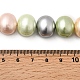 Shell Pearl Beads Strands(BSHE-F013-01H)-4