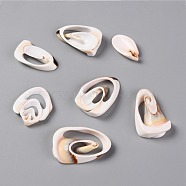 Natural Freshwater Shell Beads, No Hole/Undrilled, Shell, Seashell Color, 24~35x12~24x3.5~6mm, about 198pcs/500g(SHEL-C001-14)