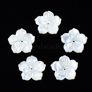 Natural White Shell Mother of Pearl Shell Beads, Flower, 19.5x20x3.5~4mm, Hole: 1mm(SSHEL-T014-42D)