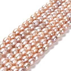 Natural Cultured Freshwater Pearl Beads Strands, Rice, Grade AA, Bisque, 8~9x6.5~7mm, Hole: 0.7mm, about 43~44pcs/strand, 14.17~14.37''(36~36.5cm)(PEAR-E016-183A-01)