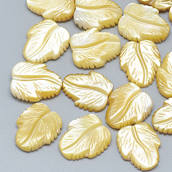 Yellow Shell Cabochons, Leaf, 13~14x10~12x2~3mm(SSHEL-S260-103A)