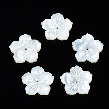 Natural White Shell Mother of Pearl Shell Beads, Flower, 19.5x20x3.5~4mm, Hole: 1mm