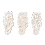 Natural White Shell Carved Pendants, Sea Horse Charms, Seashell Color, 36x17x3.5mm, Hole: 1mm(SSHEL-C012-05)