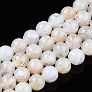 Natural Crackle Agate Beads Strands,  Dyed, Round, Floral White, 10mm, Hole: 1.2mm, about 38pcs/strand, 14.96 inch(38cm).(G-S359-240B-2)