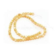 Natural Shell Beads Strands, Round, Light Khaki, 6mm, Hole: 0.8mm, about 69pcs/strand, 15.16 inch(38.5cm)(BSHE-WH0007-10)