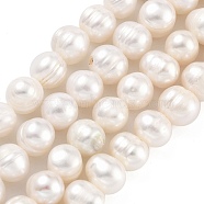 Natural Cultured Freshwater Pearl Beads Strands, Potato, Old Lace, 7~8mm, Hole: 0.6mm, about 26pcs/strand, 6.69 inch(17cm)(PEAR-C003-09A)