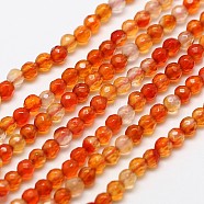 Natural Carnelian Bead Strands, Faceted Round, Dyed & Heated, 3mm, Hole: 0.8mm, about 130pcs/strand, 15.2 inch(G-A129-3mm-02)