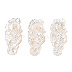 Natural White Shell Carved Pendants, Sea Horse Charms, Seashell Color, 36x17x3.5mm, Hole: 1mm(SSHEL-C012-05)