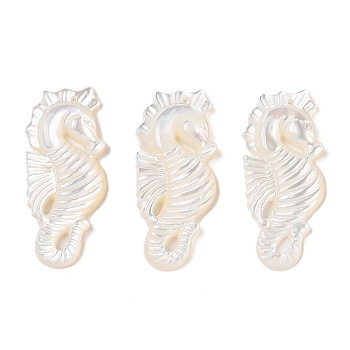 Natural White Shell Carved Pendants, Sea Horse Charms, Seashell Color, 36x17x3.5mm, Hole: 1mm