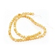 Natural Shell Beads Strands(BSHE-WH0007-10)-1