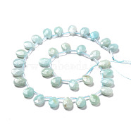Natural Amazonite Beads Strands, Top Drilled Beads, Faceted, Teardrop, 12~12.5x8.5~9x4~5mm, Hole: 0.8mm, about 32pcs/strand, 14.9 inch~16.1 inch(38~41cm)(G-I246-11)