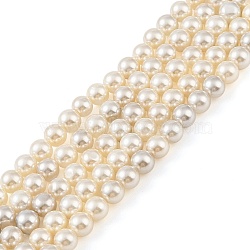 Electroplated Natural Freshwater Shell Beads Strands, Round, WhiteSmoke, 6mm, Hole: 0.8mm, about 65pcs/strand, 15.75 inch(40cm)(BSHE-G036-22)